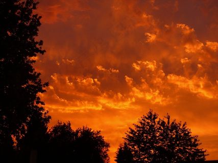 日落，红色，云，天空，晚上，傍晚的天空