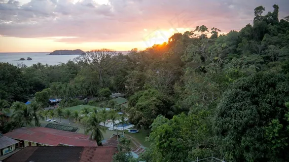 哥斯达黎加，哥斯达黎加安东尼奥，海洋，太平洋，热带