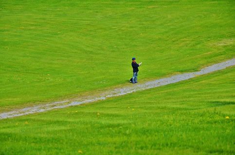 男性，人，男子，成人，草，绿色，夏天，场