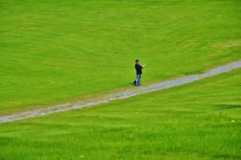 男性，人，男子，成人，草，绿色，夏天，场