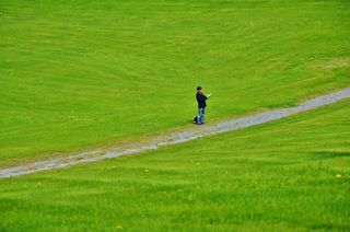 男性，人，男子，成人，草，绿色，夏天，场