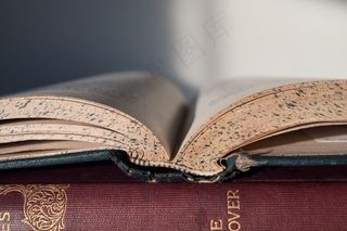 书籍，阅读，文学，经典，教育，阅读