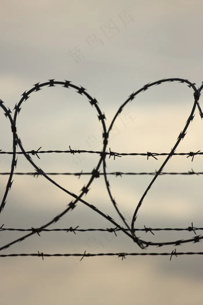 心，形状，爱，尖刺，铁丝网，情感