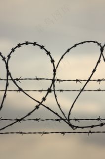 心，形状，爱，尖刺，铁丝网，情感