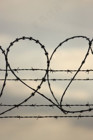 心，形状，爱，尖刺，铁丝网，情感