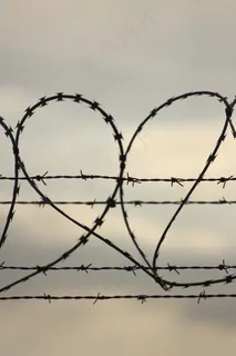 心,形状,爱,尖刺,铁丝网,情感 心,形状,爱,尖刺,铁丝网,情感