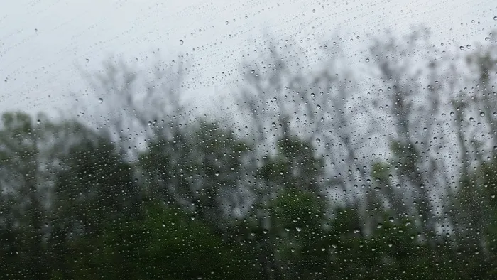 雨，天气，窗口，水滴，下着雨，湿，树木