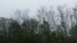 雨，天气，窗口，水滴，下着雨，湿，树木