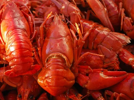 小龙虾,食品,海鲜,爪,新鲜 小龙虾,食品,海鲜,爪,新鲜