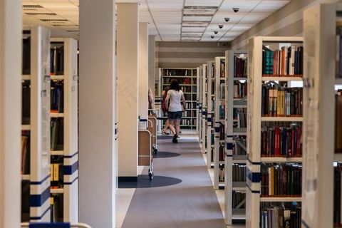 图书馆，书籍，阅读，教育，知识，租金