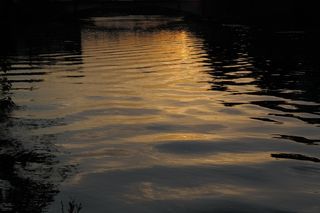 水，波浪，河流，镜像