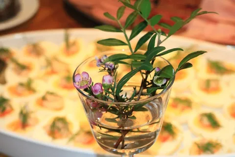 鸡蛋,莳萝,花瓶,樱花 鸡蛋,莳萝,花瓶,樱花