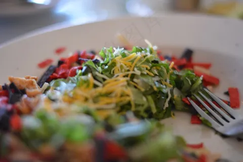 沙拉,生菜,蔬菜,健康,食品,板,叉 沙拉,生菜,蔬菜,健康,食品,板,叉
