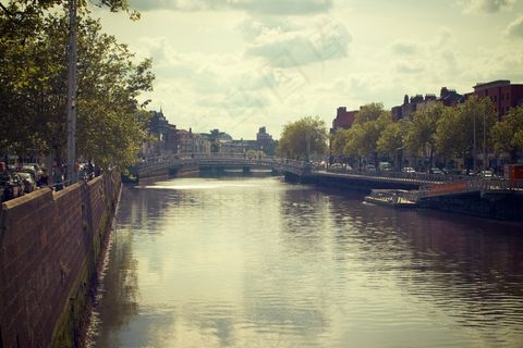 湖泊,江河,建筑,自然公园,树,市桥运河河