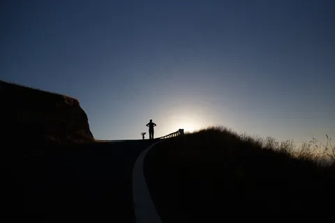 人,站立,寻找,监视,背光,阳光 人,站立,寻找,监视,背光,阳光
