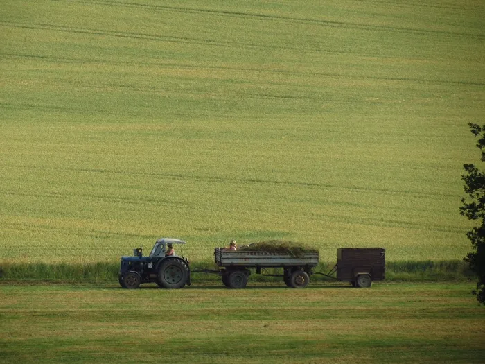 农业，农场，农夫，拖拉机，车辆，领域