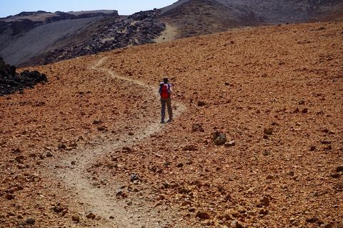 离开，路径，流浪者，徒步旅行，跟踪，沙，沙漠