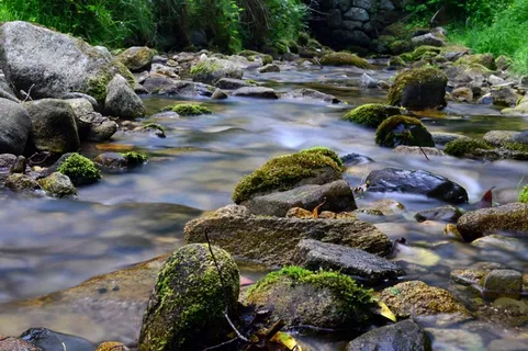 森林,山,洪流,河流,性质,绿色,流 森林,山,洪流,河流,性质,绿色,流