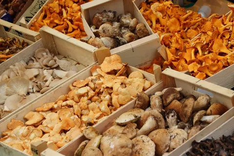 蘑菇,鸡油菌,市场,市场 蘑菇,鸡油菌,市场,市场