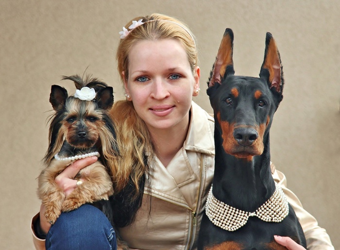 约克，杜宾，女人，狗，爱情，肖像，动物