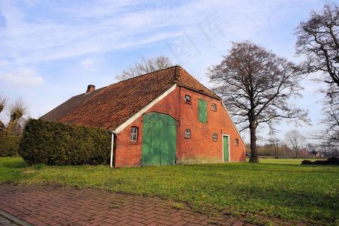 首页，古董，Feenhaus，东弗里西亚，老，建筑