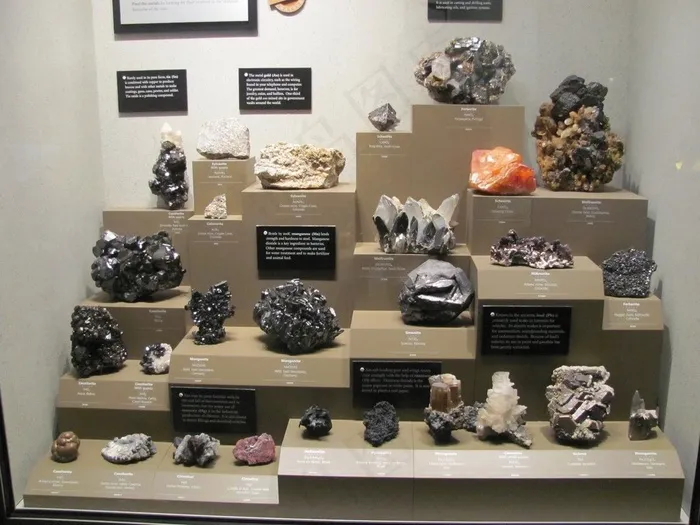 史密森尼国家自然历史博物馆073