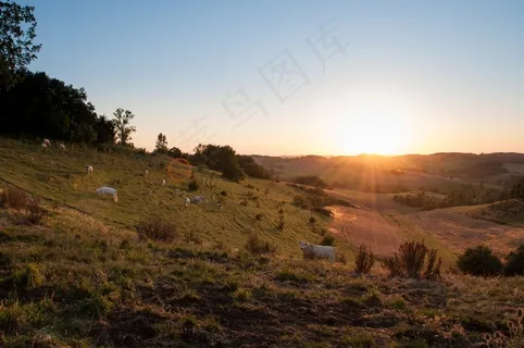树,风景,天空,长城,山峦,黎明日落日出山
