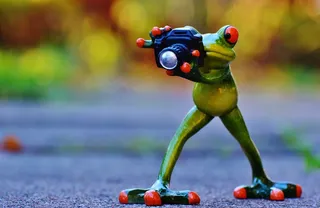 摄影师，青蛙，搞笑，相机，乐趣，动物