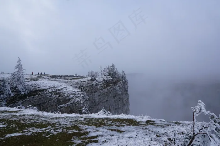 雾，冬天，树，景观，自然，雪