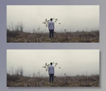 家伙，男子，论文，场，草，雾，人