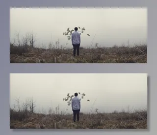 家伙，男子，论文，场，草，雾，人