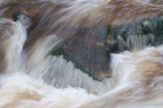 水，野生，喷雾，泡沫，果馅奶酪卷