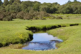 农村，流，溪，水，蓝色，自然