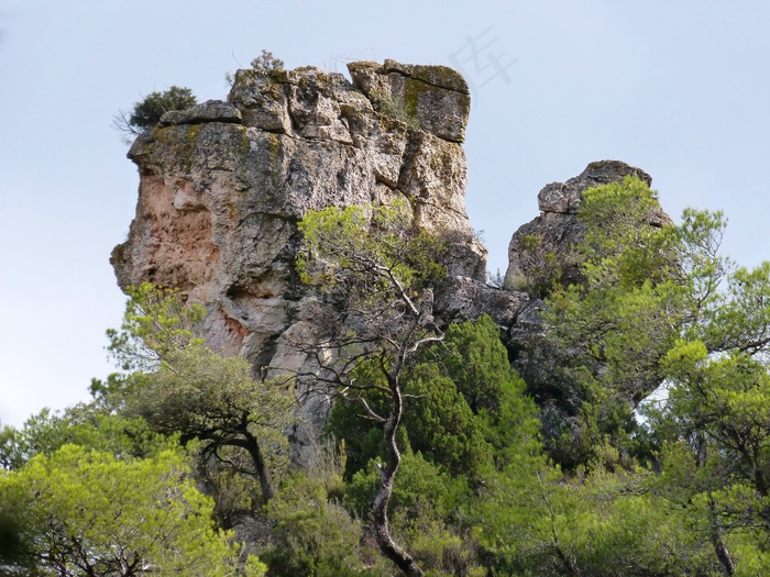 岩石，山，天空，松树