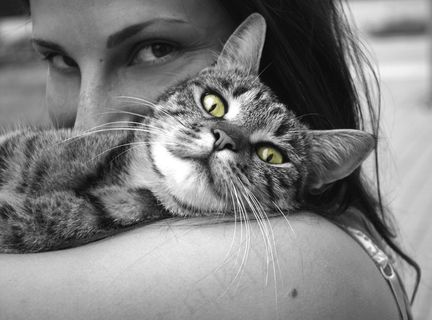 动物，猫，女孩，幸福，情绪，拥抱，宠物