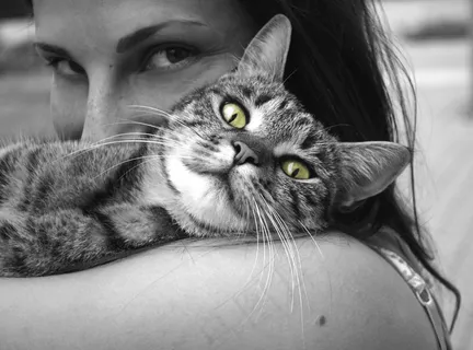 动物,猫,女孩,幸福,情绪,拥抱,宠物 动物,猫,女孩,幸福,情绪,拥抱,宠物