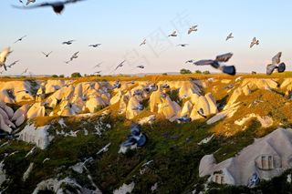 卡帕多细亚，土耳其，安那托利亚，谷，景观，群