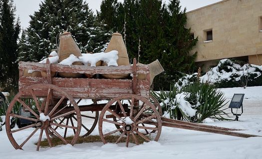 马车,游乐设施,树木,外,雪,冬天 马车,游乐设施,树木,外,雪,冬天