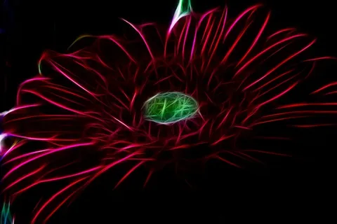 分形,数字,红色,花,自然,计算机图形学 分形,数字,红色,花,自然,计算机图形学