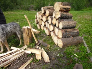 火木，木，桩，堆积，堆栈，露营，营