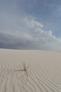 荒野，墨西哥，国家，沙，金沙，纪念碑