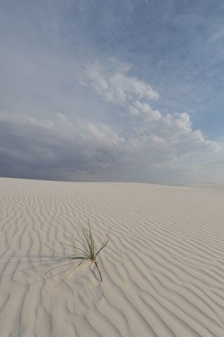 荒野，墨西哥，国家，沙，金沙，纪念碑