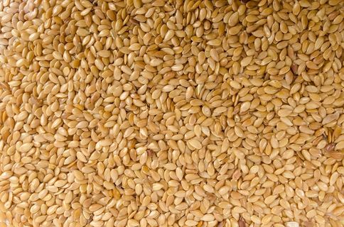 特写，粮食，没人，自然，香料，白色，有机