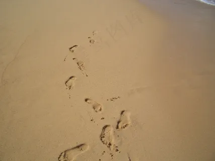足迹,沙子,海滩,海岸线,脚,夏天,步行 足迹,沙子,海滩,海岸线,脚,夏天,步行
