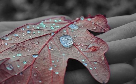 自然，水，水滴，宏观摄影，工作表