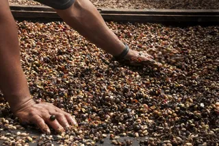 咖啡，谷物，咖啡豆