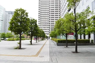 现代区的购物中心