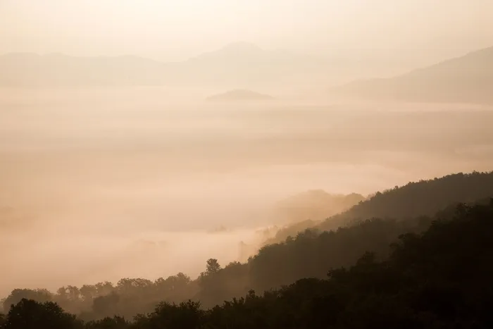 森林，山，填充，日落，黄昏，黎明，雾，雾