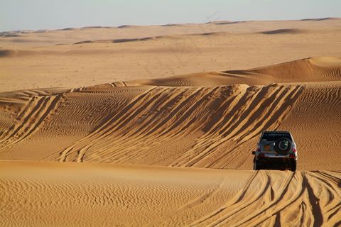 撒哈拉沙漠，沙漠，4X4，沙丘，沙土，越野拉力赛