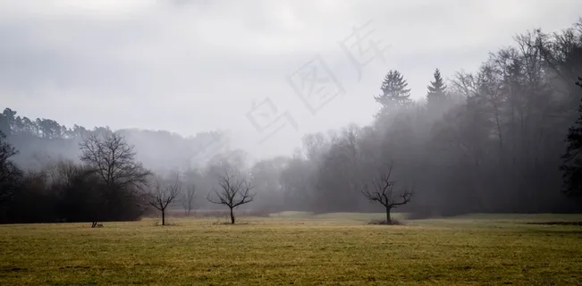 景观,雾,自然,心情 景观,雾,自然,心情